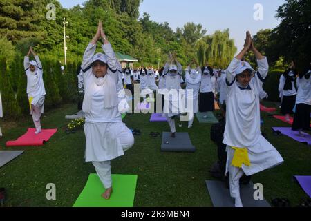 Srinagar, Indien. 21. Juni 2023. Praktizierende nehmen am Internationalen Tag von Yoga an einer Yoga-Sitzung Teil, in Srinagar, dem Sommergefängnis der Indianer, das am 21. Juni 2023 Kaschmir verwaltet hat. (Foto von Mubashir Hassan/Pacific Press) Kredit: Pacific Press Media Production Corp./Alamy Live News Stockfoto