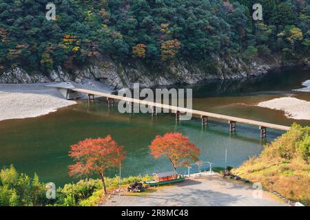 Eine Tiefwasserüberquerung und Herbstfarben zwischen Felsen im Shimantogawa River Stockfoto
