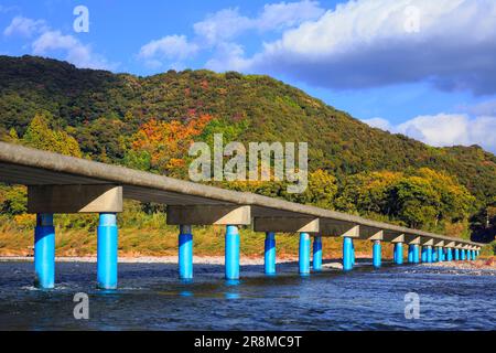 Sada-Tiefwasserüberquerung und Herbstfarben im Shimantogawa River Stockfoto