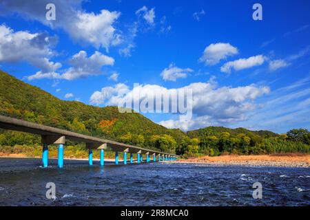 Sada-Tiefwasserüberquerung und Herbstfarben im Shimantogawa River Stockfoto