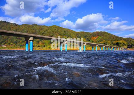 Sada-Tiefwasserüberquerung und Herbstfarben im Shimantogawa River Stockfoto