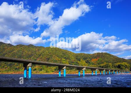 Sada-Tiefwasserüberquerung und Herbstfarben im Shimantogawa River Stockfoto
