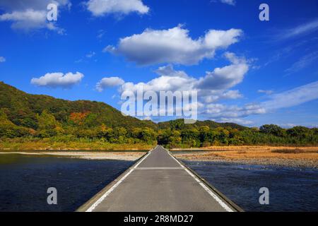 Sada-Tiefwasserüberquerung und Herbstfarben im Shimantogawa River Stockfoto