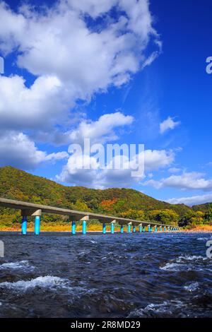 Sada-Tiefwasserüberquerung und Herbstfarben im Shimantogawa River Stockfoto
