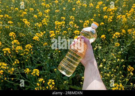 Die Hand eines Mannes hält eine Flasche Rapsöl vor dem Hintergrund von gelben Rapsblumen Stockfoto