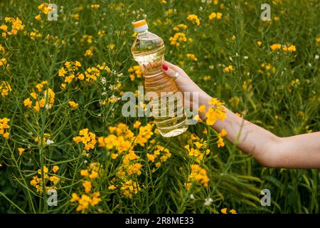 Die Hand einer Frau hält eine Flasche Rapsöl vor dem Hintergrund von gelben Rapsblumen Stockfoto