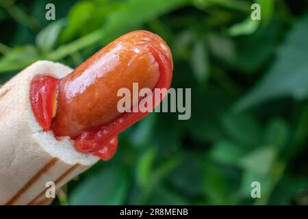 Ein klassischer Hot Dog auf der Straße, der traditionelle polnische Hähnchen Hot Dog. Tomatenketchup und Wurst mit grünem, unscharfem Hintergrund Stockfoto