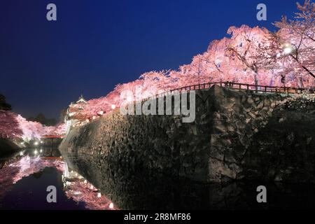 Die Nachtsicht auf die Burg Hirosakijo und die Kirschblüten Stockfoto