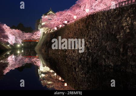 Die Nachtsicht auf die Burg Hirosakijo und die Kirschblüten Stockfoto