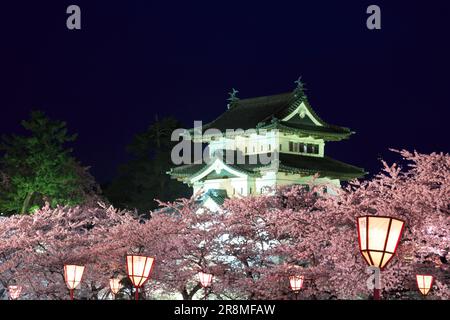 Die Nachtsicht auf die Burg Hirosakijo und die Kirschblüten Stockfoto