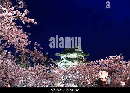 Die Nachtsicht auf die Burg Hirosakijo und die Kirschblüten Stockfoto