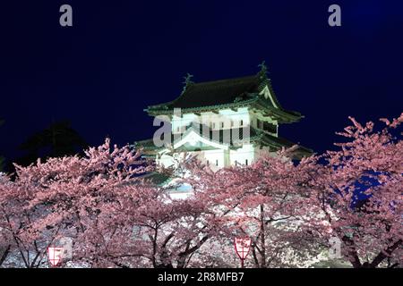 Die Nachtsicht auf die Burg Hirosakijo und die Kirschblüten Stockfoto