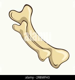 Vektordarstellung gelber Knochen auf weißem Hintergrund Stock Vektor