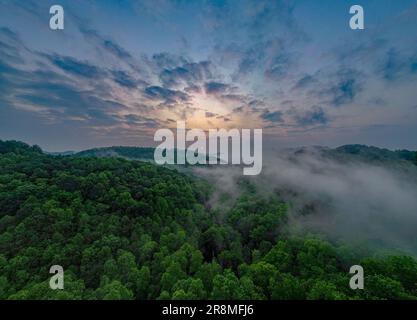 Eine Luftaufnahme einer rollenden Wolkendecke, die bei Sonnenuntergang einen Schatten über einen üppigen, grünen Wald wirft. Stockfoto