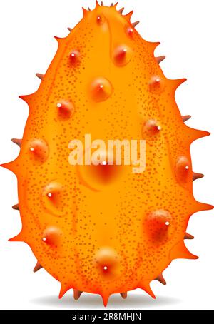Hornmelonenfrucht realistisch Stock Vektor