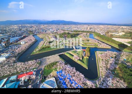 Goryokaku Park und Kirschblüten in der Abenddämmerung Stockfoto