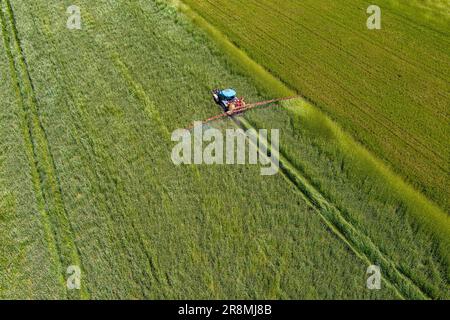 Traktor-Ackerfeld im Frühling, Luftaufnahme, Drohnenschuss Stockfoto