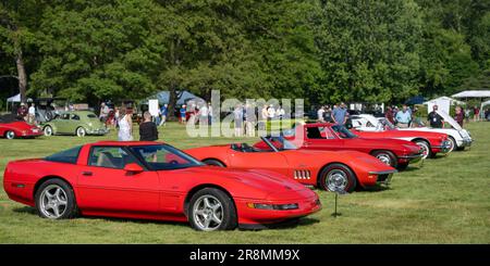 GROSSE POINTE SHORES, MI/USA - 18. JUNI 2023: Fünf Generationen von Chevrolet Corvette-Autos, EyesOn Design-Automesse, in der Nähe von Detroit, Michigan. Stockfoto