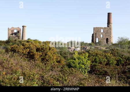 Die Überreste von Cook's Kitchen Mine in Brea, Cornwall. Stockfoto