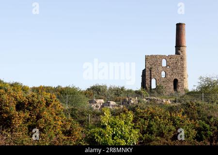 Die Überreste von Cook's Kitchen Mine in Brea, Cornwall. Stockfoto