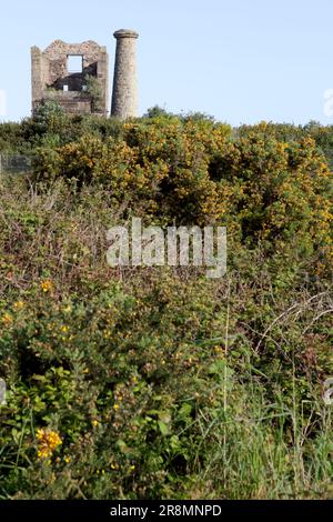 Die Überreste von Cook's Kitchen Mine in Brea, Cornwall. Stockfoto