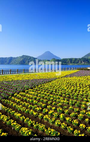 Ikeda-See und Kaimondake-Berg Stockfoto