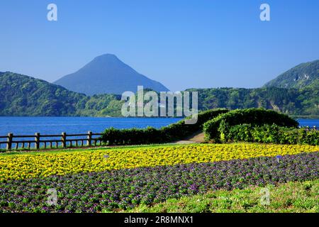 Ikeda-See und Kaimondake-Berg Stockfoto