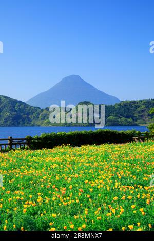 Ikeda-See und Kaimondake-Berg Stockfoto