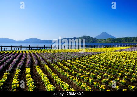 Ikeda-See und Kaimondake-Berg Stockfoto