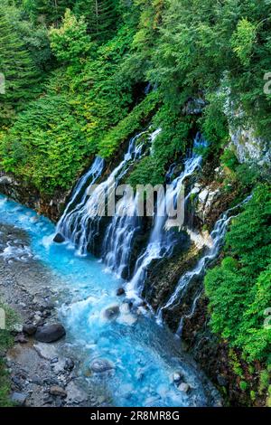 Shirahige Wasserfälle und der Fluss Biei Stockfoto