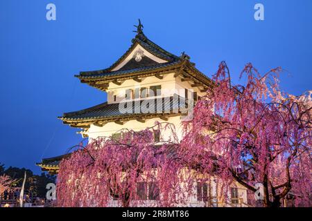 Der abendliche Blick auf die Burg Hirosakijo und die Kirschblüten Stockfoto