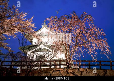 Die Nachtsicht auf die Burg Hirosakijo und die Kirschblüten Stockfoto