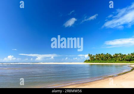 Wunderschöner Sargi-Strand, umgeben von Kokospalmen und völlig verlassen an einem Sommermorgen in Serra Grande an der Küste von Bahia Stockfoto