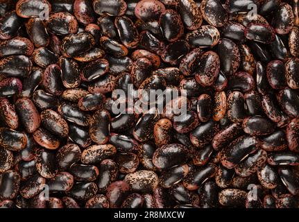 Scarlet Runner-Bohnen, von oben. Getrocknete und rohe Läuferbohnen, Samen von Phaseolus coccineus, auch bekannt als Multiflora oder Butterbohne. Stockfoto