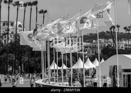 Cannes, Frankreich, 22. Juni 2023, Cannes Lions Festival - International Festival of Creativity © ifnm Press Stockfoto