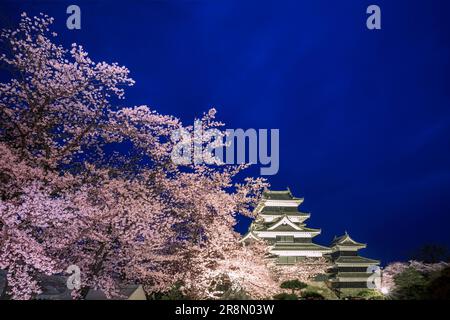 Schloss Matsumoto und Kirschblüten leuchten auf Stockfoto