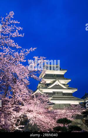 Schloss Matsumoto und Kirschblüten leuchten auf Stockfoto