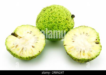 In Scheiben geschnitten Osage Orange (Maclura), Isolated on White Background Stockfoto