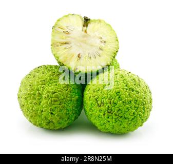 In Scheiben geschnitten Osage Orange (Maclura), Isolated on White Background Stockfoto