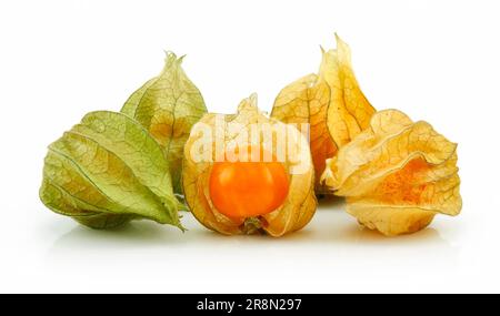 Cape Gooseberry (Physalis), isoliert auf weißem Hintergrund Stockfoto