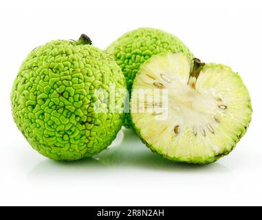 In Scheiben geschnitten Osage Orange (Maclura), Isolated on White Background Stockfoto