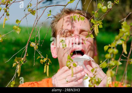 Mann mit Heuschnupfen niest, niest, Taschentuch, Schnelligkeit, Allergie, Birke, Birkenpollen, Pollenallergie Stockfoto