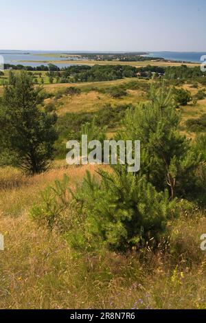 Blick vom Leuchtturm Dornbusch auf der Insel Hiddensee, Mecklenburg-Vorpommern, Deutschland Stockfoto