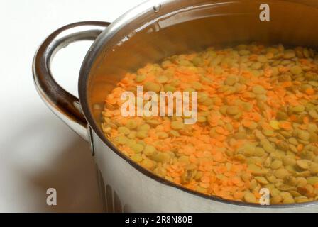 Rote und braune Linsen (Lens culinaris) in einem Kochtopf mit Wasser Stockfoto