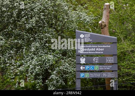 Fußweg, Schild, Coedydd Aber National Nature Reserve mit Aber Wasserfall, Wales, Großbritannien Stockfoto