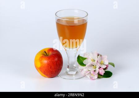 Apfelessig, Glas Stockfoto