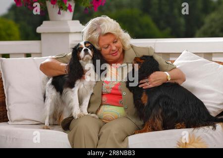 Weiblich und Kavalier König Charles Spaniel, dreifarbig und schwarz-braun Stockfoto