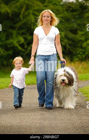 Frau mit Tochter und Speckschwanz, altenglischer Schäferhund, altenglischer Schäferhund, Leine, in Führung, Ich gehe Stockfoto