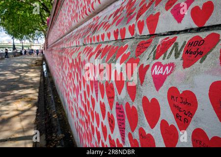 Einige der 200.000 individuell von Hand bemalten roten Herzen an der National Covid Memorial Wall sind in London gegenüber den Houses of Parliament abgebildet Stockfoto