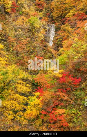 Herbstlaub in der Naruko-Schlucht Stockfoto